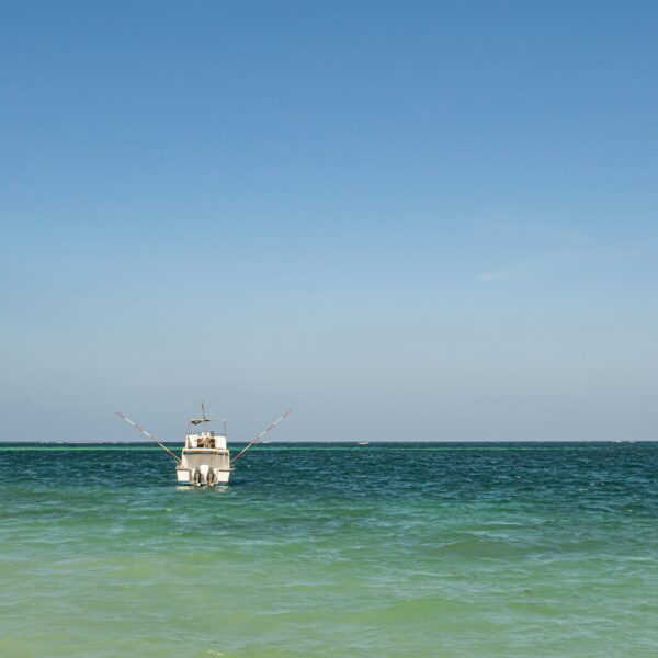 Diani Beach - "Tropical Beach Escape"